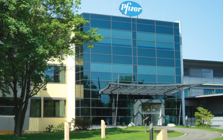 Immuntherapie als Hoffnung