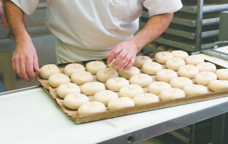 Hat es sich ausgebacken?