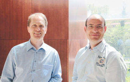 Datennetze als Vorlage für den Warentransport