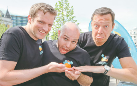 App Malooku: Googelst du noch, oder pingst du schon?