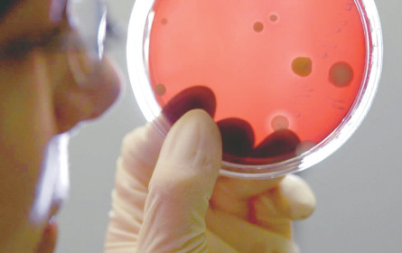 EU-Plattform gegen Antibiotikaresistenzen