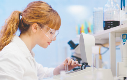 3 neue Studiengänge in Kärnten