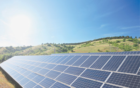 Viel Aktionismus ohne gemeinsame Konzepte