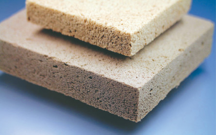 Innovation am „Holzweg&rdquo;