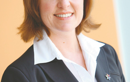 Darstellung und Vernetzung