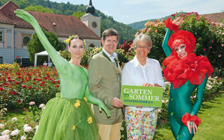 Wenn die Pflanzen in den Gärten lebendig werden