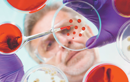 Pharmaindustrie steht vor weiteren Megadeals