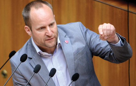 Unternehmer-Umfrage: Munition für Neos