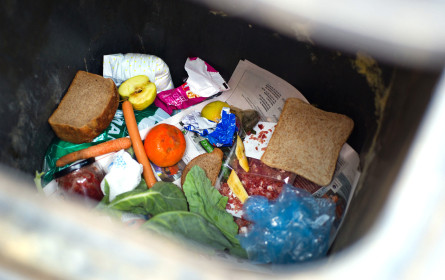 Wiener Tafel sagt Verschwendung von Lebensmitteln den Kampf an