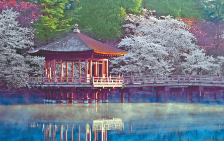 Größtes Fernreisen-Programm aller Zeiten