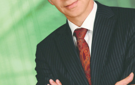 Totalverzicht auf Konfliktmaterial