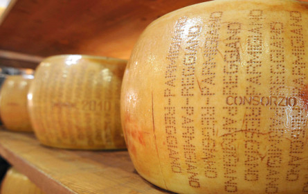 Pulver vs. Qualität