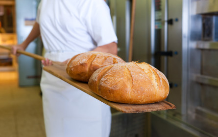 Bäcker vs. Aldi Süd: Gutachter soll nun klären, was „Backen” ist