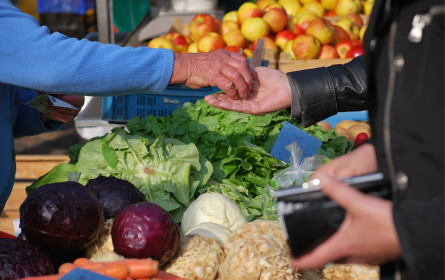 WKO fordert Gleichberechtigung bei der Registrierkassenpflicht