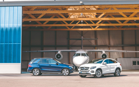 Bullenlauf in Stuttgart – so fahren Sie an die Spitze