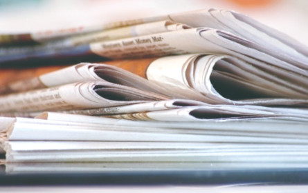 Der Markt wächst – und mit ihm auch die Gattungen