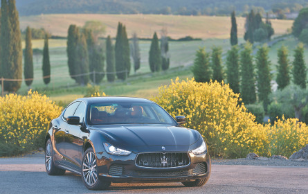 Aus der Nische wachsen