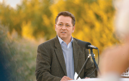 Im Aufwind: sauber anlegen