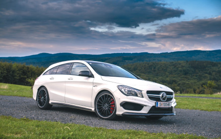 Rennen um die Nische