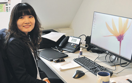 Regal kommt zum Packer