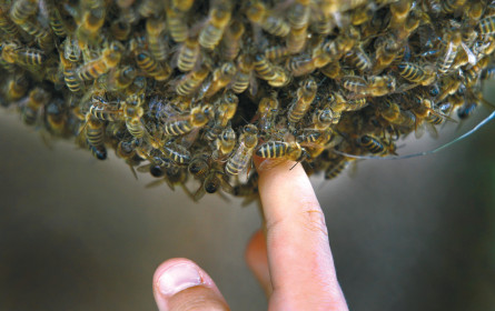 Unfallschutz neu definiert