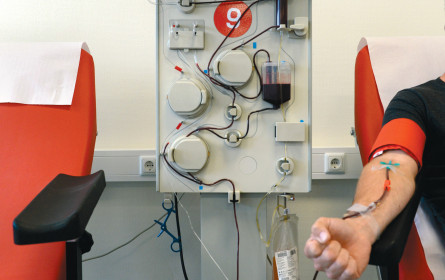 Fokus auf Plasmaspenden