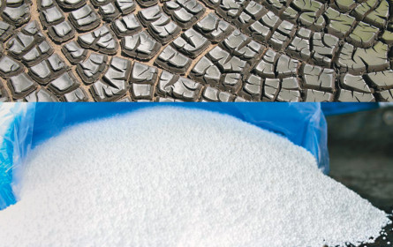 Klärschlamm wird Dünger