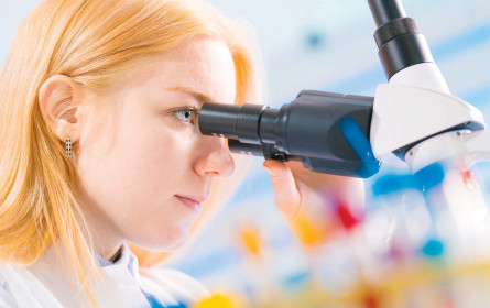 Die Karrierepläne der Frauen