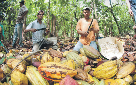Wer springt auf den Fairtrade-Zug auf?
