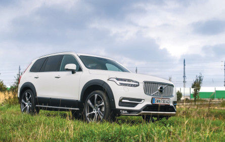 Die sichere Wahl im Viervierteltakt