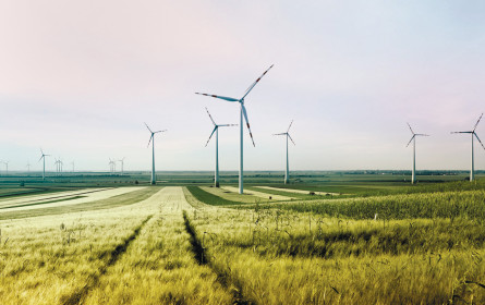 oekostrom expandiert