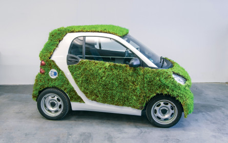 Pilotprojekt „Green Skin”