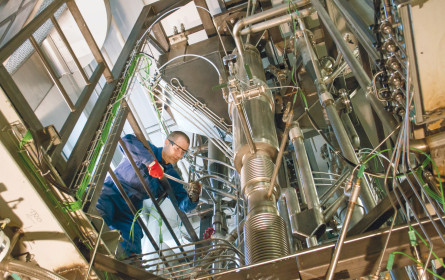 Biomasse noch effektiver nutzen