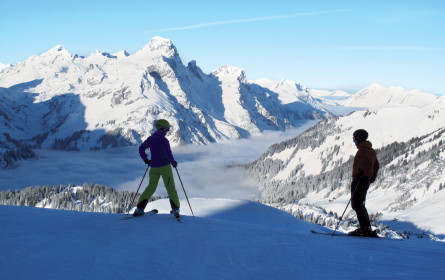 Ski Guide Austria 2016: Tool für Gäste und Touristiker