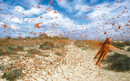Weder verwandt noch verschwägert