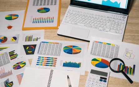 Unter der Lupe: Versicherer und ihre Online-Angebote