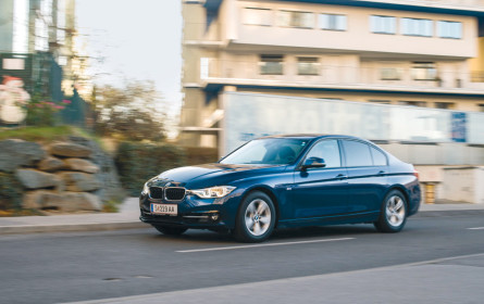 Alter Bayer in neuem Gewand