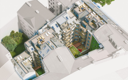 Das Projekt Julie & Ferdy