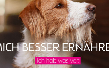 Bipa „hat was vor“ ...