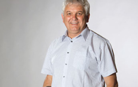 Suche nach Klarheit und Entscheidungssicherheit