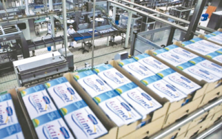 Danone-Pudding steht stramm