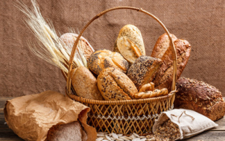 Wer backt das beste Brot?