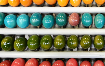 Wer hat die beste Osterjause?