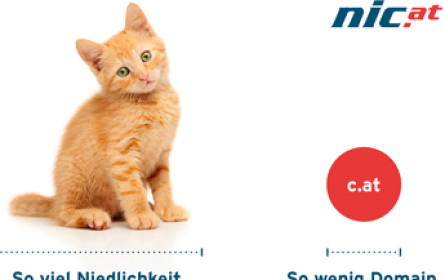 "c.at": Neue .at-Domains werden ab August vergeben