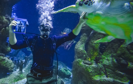 Warda Network: Launch-Event für "Uncharted 4 – A Thief’s End"