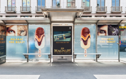 Leopard, Löwe oder Tiger?