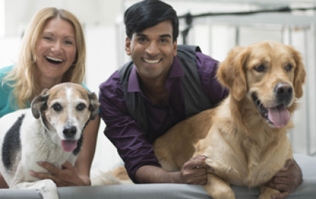 Purina Petcare launcht Kampagne „Zeig Schnauze"