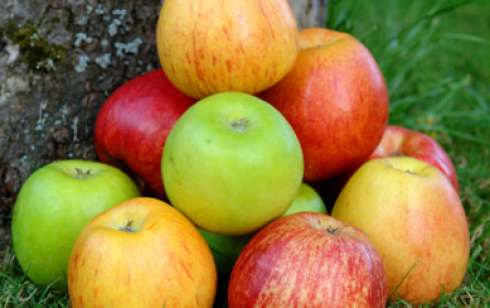 Österreich bleibt Apfelland