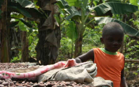 Schoko-Check zum Tag gegen Kinderarbeit