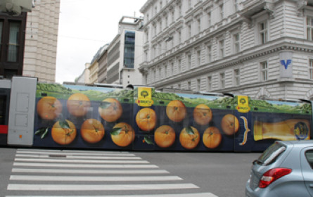 Naturgenuss, Partystimmung und Almfeeling